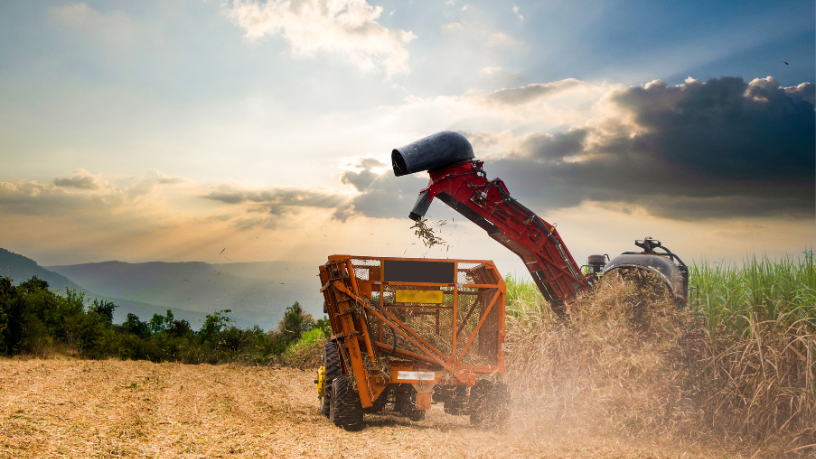 Para Aldo Vendramin, agronegócio que move o país sustenta a economia e abre portas para tecnologias cada vez mais avançadas.