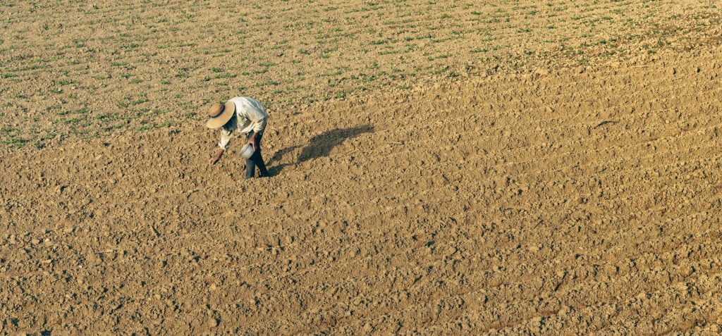 Produtor rural trabalha em uma plantação seca sob o sol.